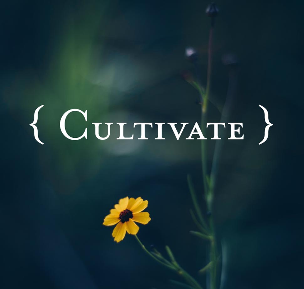 Cultivate - With Brooke McNamara