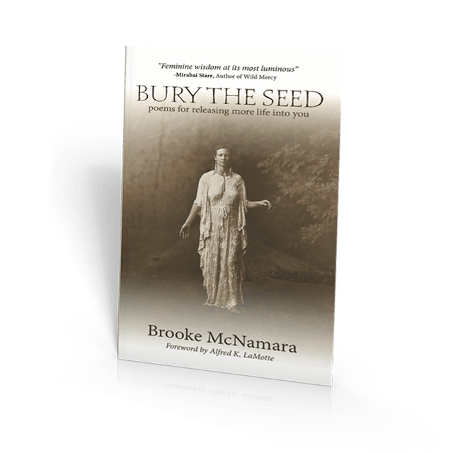 BurytheSeed copy BurytheSeed copy