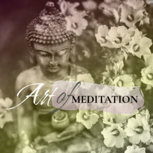 Art of Meditation - Full Program