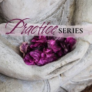 Art of Meditation - Practice Series