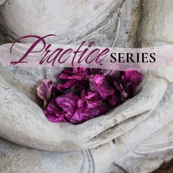 Art of Meditation - Practice Series